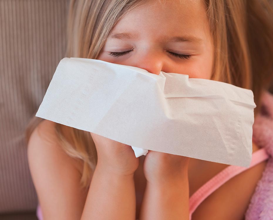 Allergie Kind Kork HolzLand Beese Unna Dortmund Allergie Kind Kork HolzLand Beese Unna Dortmund