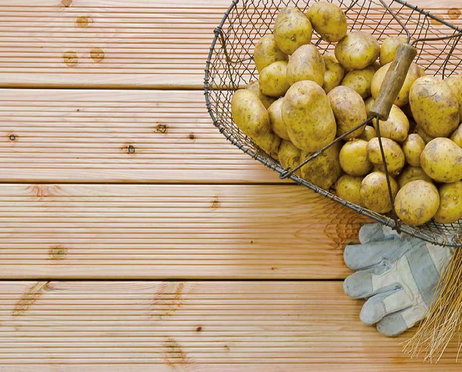 Terrassendiele Holz Scheerer HolzLand Beese Unna Dortmund Terrassendiele Holz Scheerer HolzLand Beese Unna Dortmund