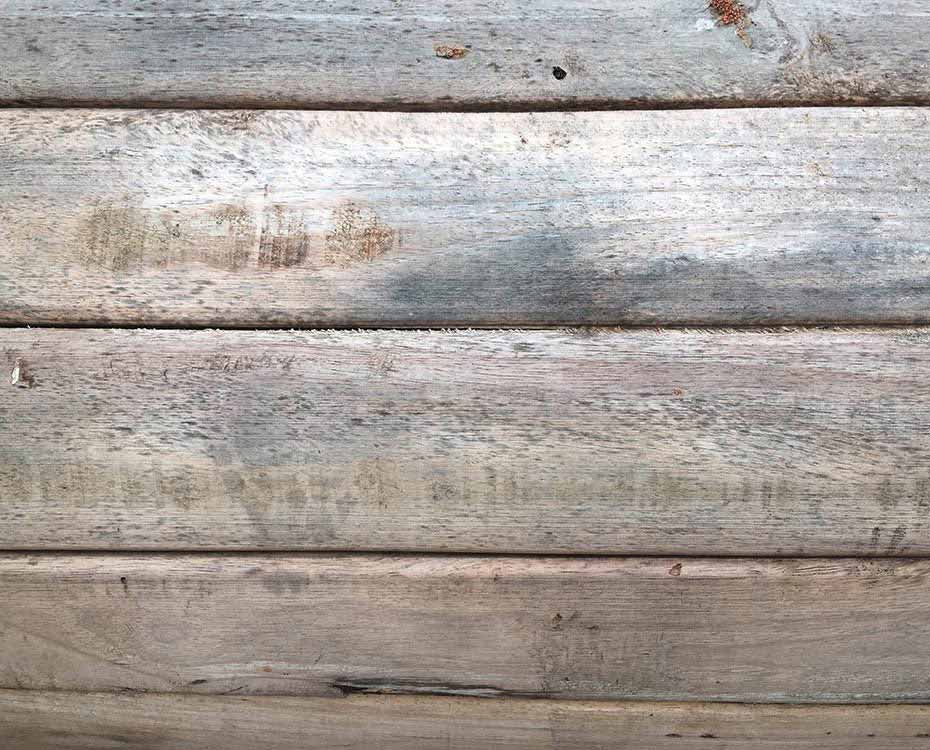 Terrassendiele WPC HolzLand Beese Unna Dortmund