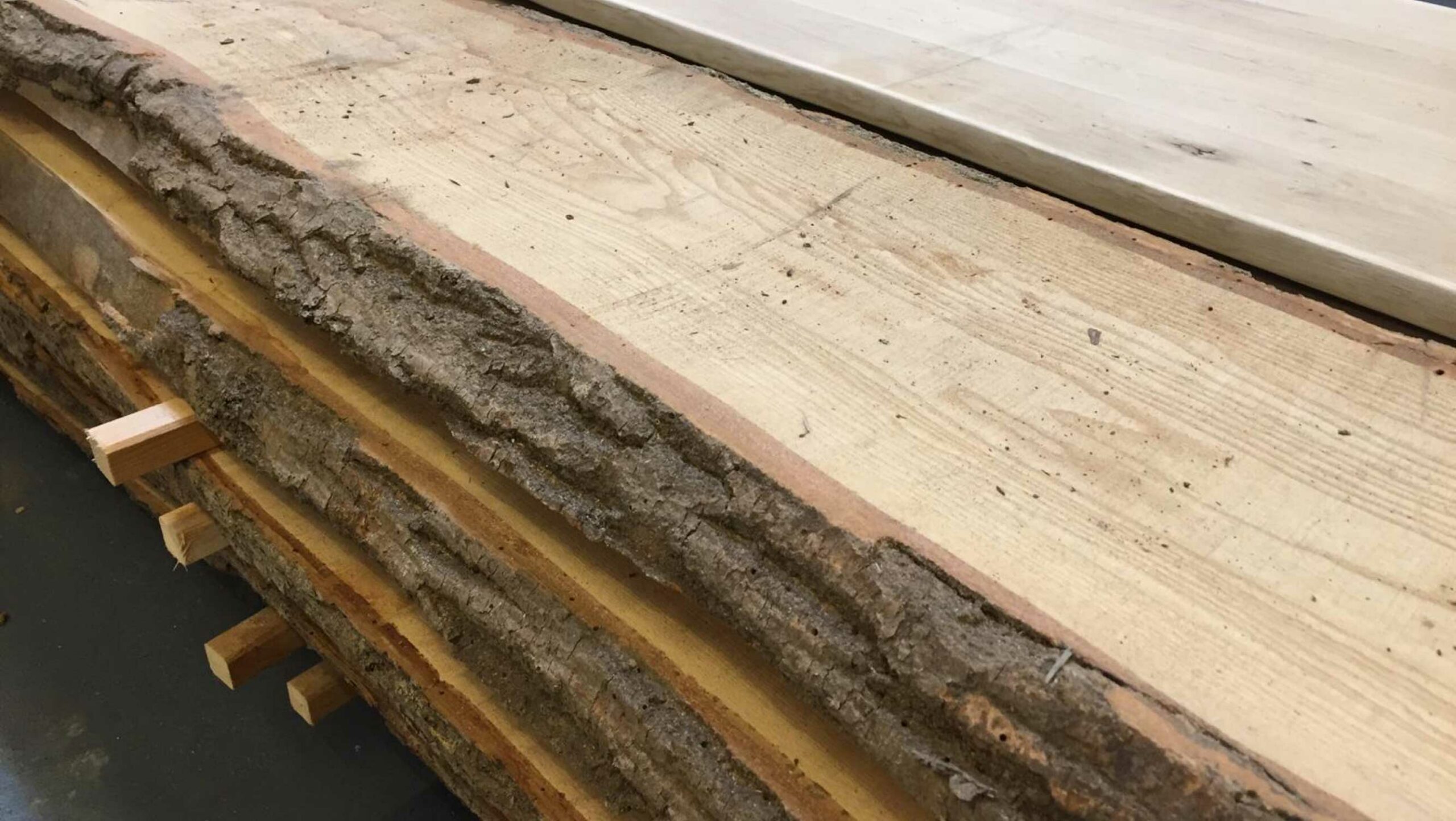 Regal aus Holz bauen: Mit dem Material von HolzLand Beese in Unna klappt das im Handumdrehen.