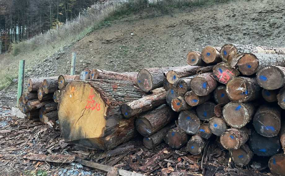 Rohstoff Holz für das Sägewerk Hegener-Hachmann, HolzLand Beese Unna Rohstoff Holz für das Sägewerk Hegener-Hachmann, HolzLand Beese Unna