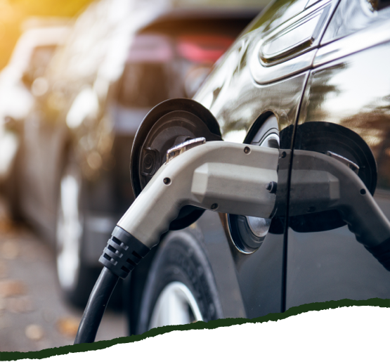 Nachhaltiger Fuhrpark mit E-Autos | HolzLand Beese in Unna Nachhaltiger Fuhrpark mit E-Autos | HolzLand Beese in Unna