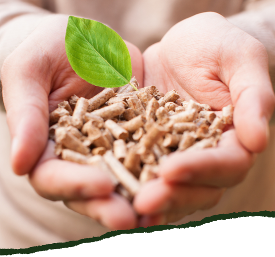 Holzpellets in einer Hand | HolzLand Beese in Unna Holzpellets in einer Hand | HolzLand Beese in Unna