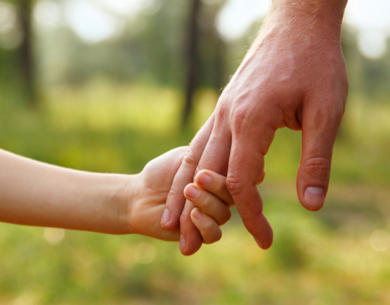 Hand in Hand in der Natur | HolzLand Beese in Unna Hand in Hand in der Natur | HolzLand Beese in Unna