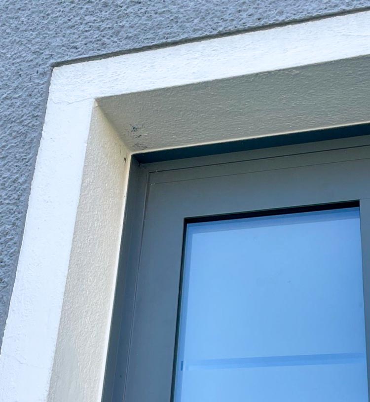 Referenz: Neue Haustür wertet auf | HolzLand Beese in Unna